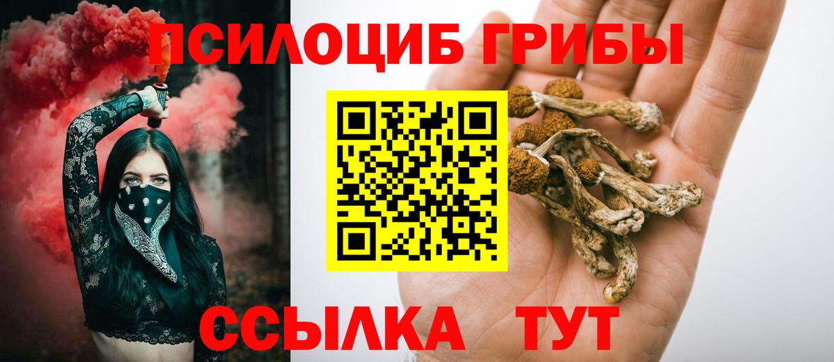 Озёры  Псилоцибиновые грибы Cubensis  Вход с VPN 